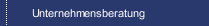 Unternehmensberatung
